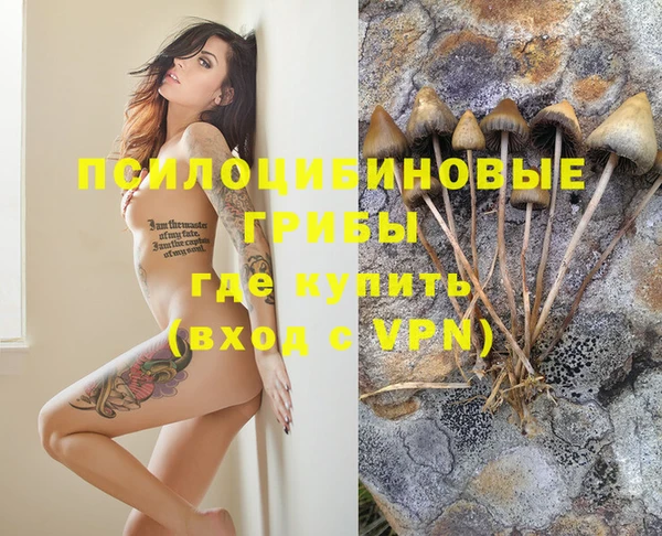 jwh Сатка
