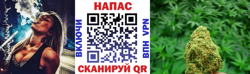 Бошки Шишки сатива  Купить  Ливны 